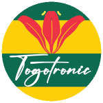 Togotronic old Logo